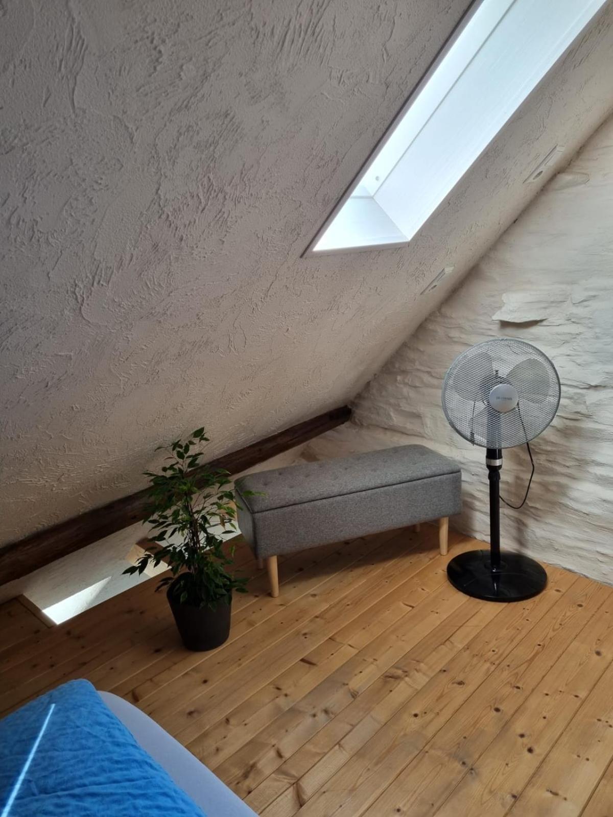 Apartment Fritzer *
